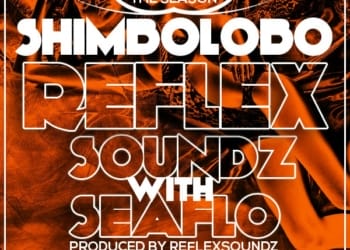 SHIMBOLOBO ART2