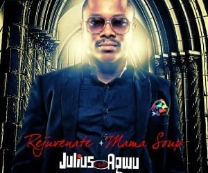julius agwu 300x300