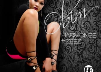 Harmonee Obim Zeez Artwork