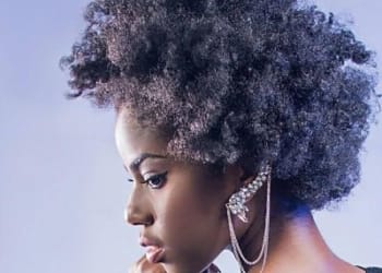mzvee