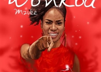 mzvee Wonka