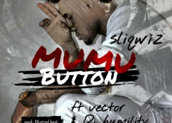 MuMu Button Sliqwiz ft Vector Dj Humility mp3 image