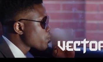 Vector