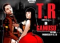 T R Gamusu Remix mp3 image