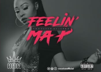 CocoIce Feeling My P ART