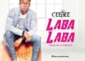 Ceebee Labalaba www.djmoremuzic.net