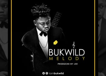 bukwild main art