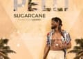 Sugarcane prod LuisAMG mp3 image