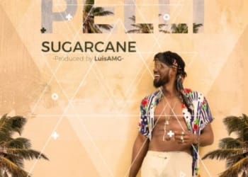 Sugarcane prod LuisAMG mp3 image