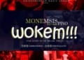 wokem art 2