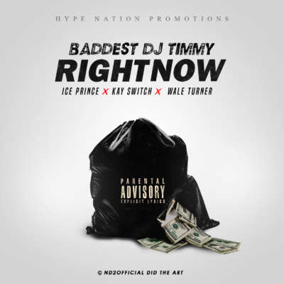 dj timmy right now cover