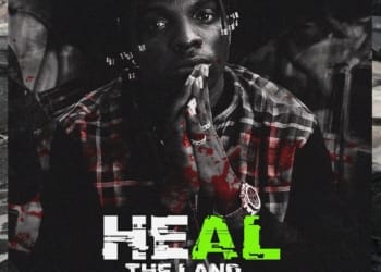 Idahams Heal The Land mp3 image