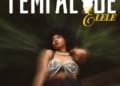 Yemi Alade Elele mp3 image