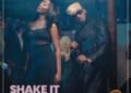DBanj Shake It