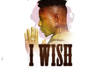 1550093101813 i wish dsb