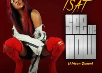 Isat See Me Now Artwork