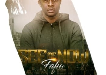 fafus see me now art cover 1