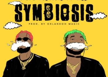 Ajebo Hustlers Symbiosis mp3 image