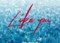 May D Like You artwork
