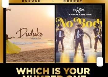 duduke versus Nobody