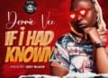 Demmie Vee If I Had Know