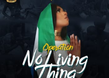 ISAT No Living Thing Art