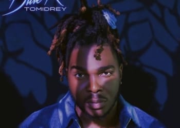 Tomidrey Blue Roses