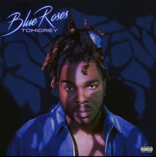 Tomidrey Blue Roses