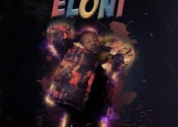 Dillo Eloni Blog Artwork