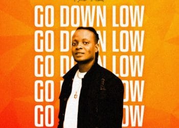 Fre Mzi Go Downlow art