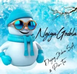 Deejay Zebra SA & Pro-Tee - Ngiya Godola