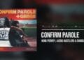 King Perrrryy ft. Ajebo Hustlers & DanDizzy - Confirm Parole