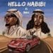 Olamide Hello Habibi (Remix) Lyrics Feat. Russ