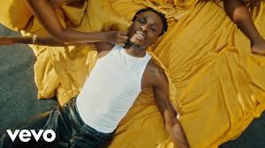 [MUSIC VIDEO] Fireboy DML & Seun Kuti - ecstasy