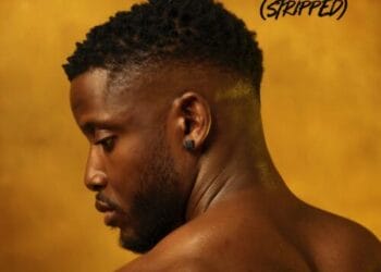 Cover art for Son Of Chike Stripped EP by Chike