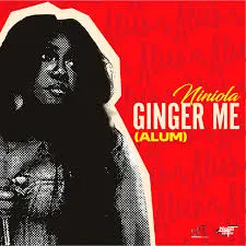 Niniola - Ginger Me (Alum)
